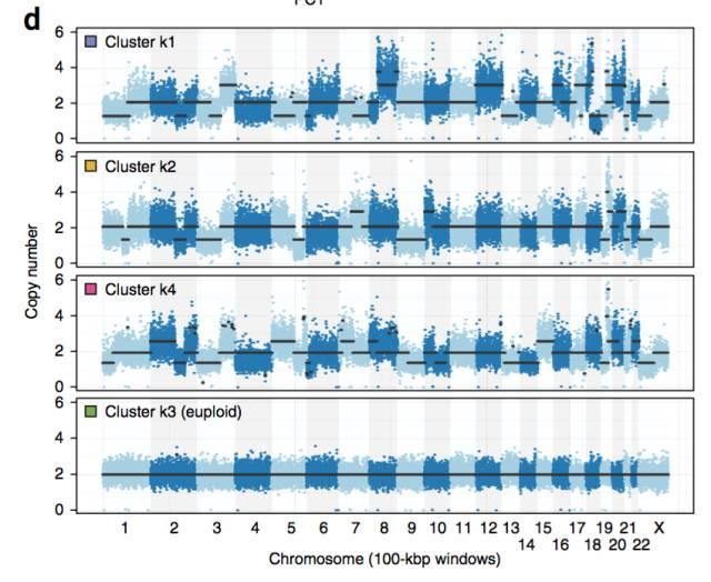 不使用微流控如何實現(xiàn)高通量測序單細(xì)胞基因組？